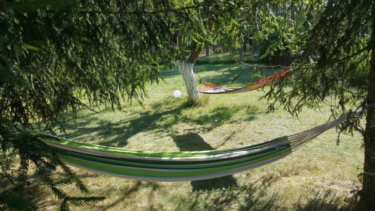 Borywood Villa Male Gacno Dış mekan fotoğraf