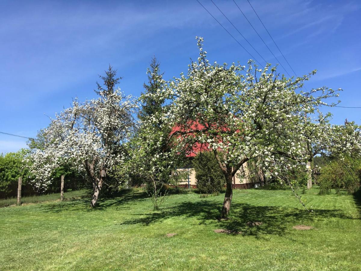 Borywood Villa Male Gacno Dış mekan fotoğraf