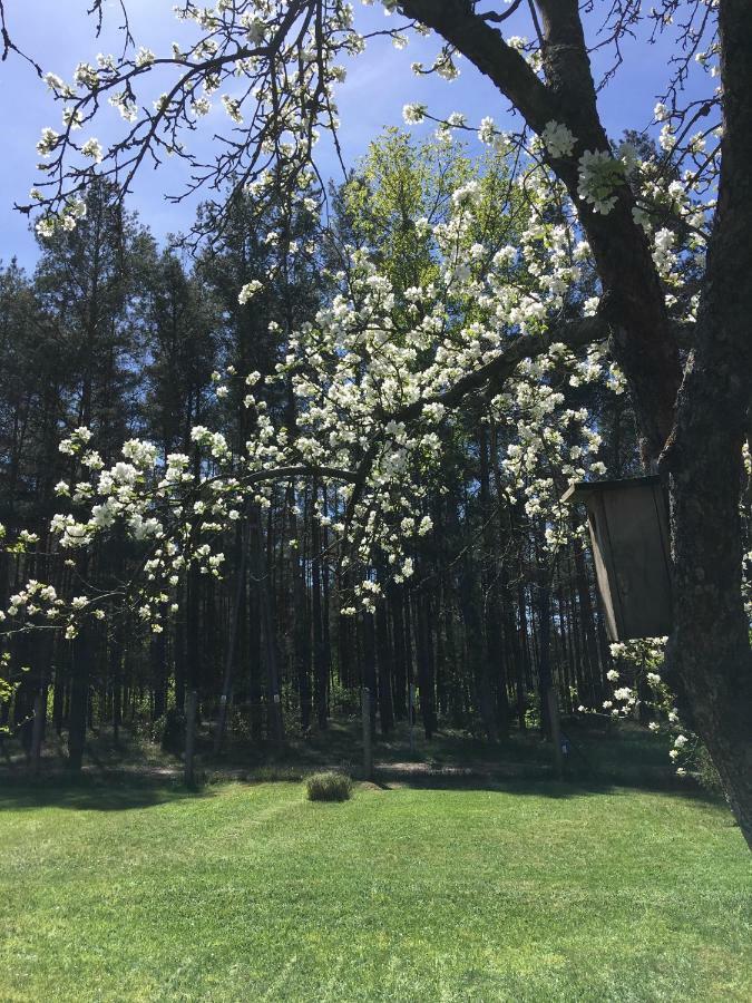 Borywood Villa Male Gacno Dış mekan fotoğraf