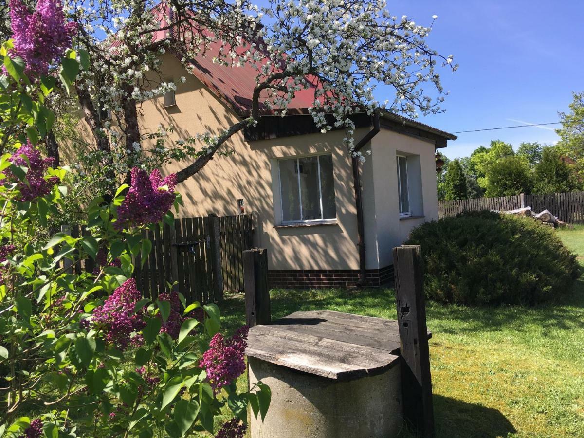Borywood Villa Male Gacno Dış mekan fotoğraf